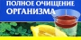 Полное очищение организма (миниатюрное издание) Издательства: АСТ, Харвест, 2007 г 144 стр ISBN 5-17-037419-9, 978-985-13-9706-4 Тираж: 5000 экз Формат: 70x90/96 (~105x55 мм) инфо 9674b.