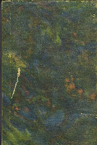 Подпоручик Киже Серия: Мировая классика инфо 1867m.